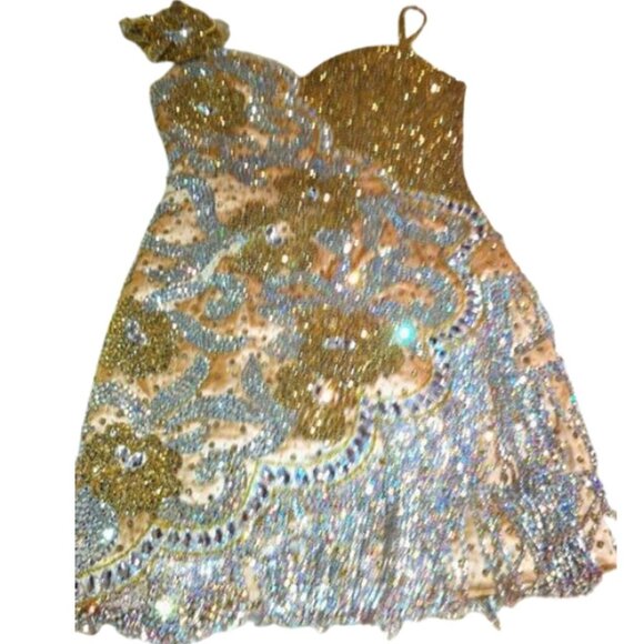 Couture Fully Beaded in Swarovski Crystals Fringes Flowers Prom Party Dress Gown - Picture 1 of 12